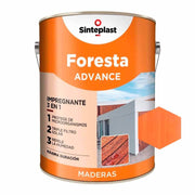 Sinteplast Foresta Advance Brillante Cedro x4lts